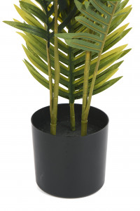 2000983223425 Ховея Пальмовая LINIE DESIGN
