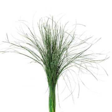 Листья берграсс 70 см Santreyd 26378