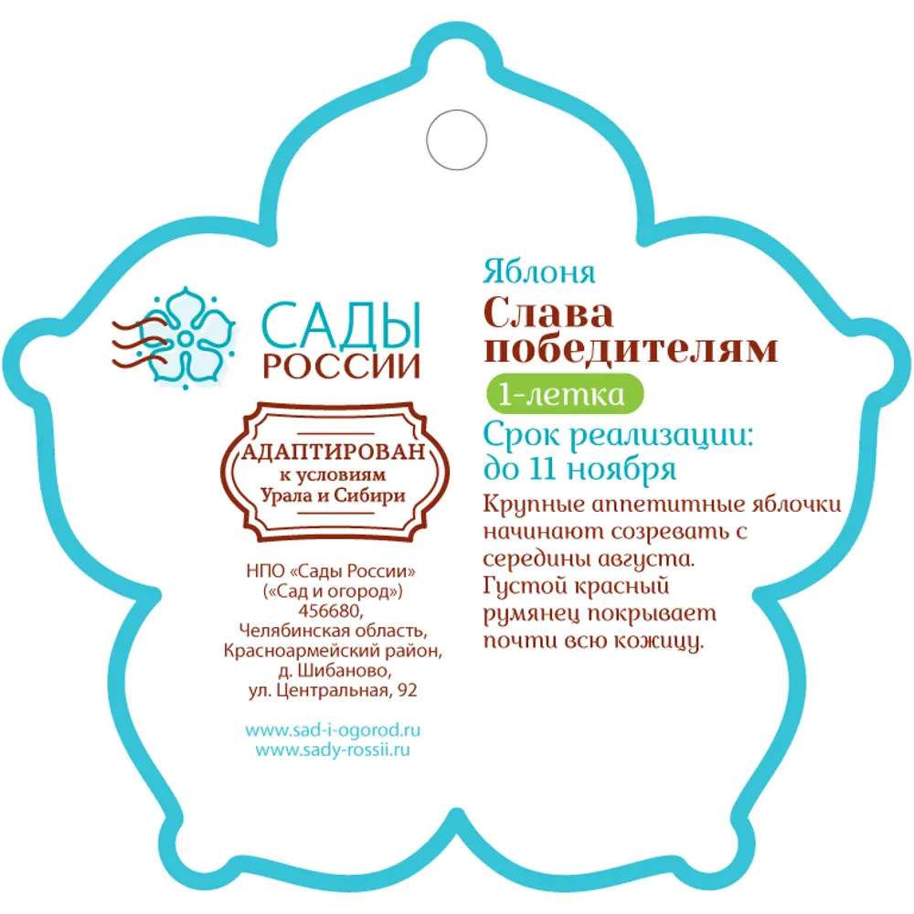 Яблоня «Слава победителям» 1 год 12.5x30-50 см 82610485 STLM-2022555 Santreyd  - Вид №1