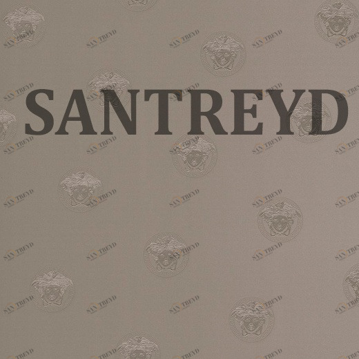 34862-3 Обои A.S. Creation Versace III 348623