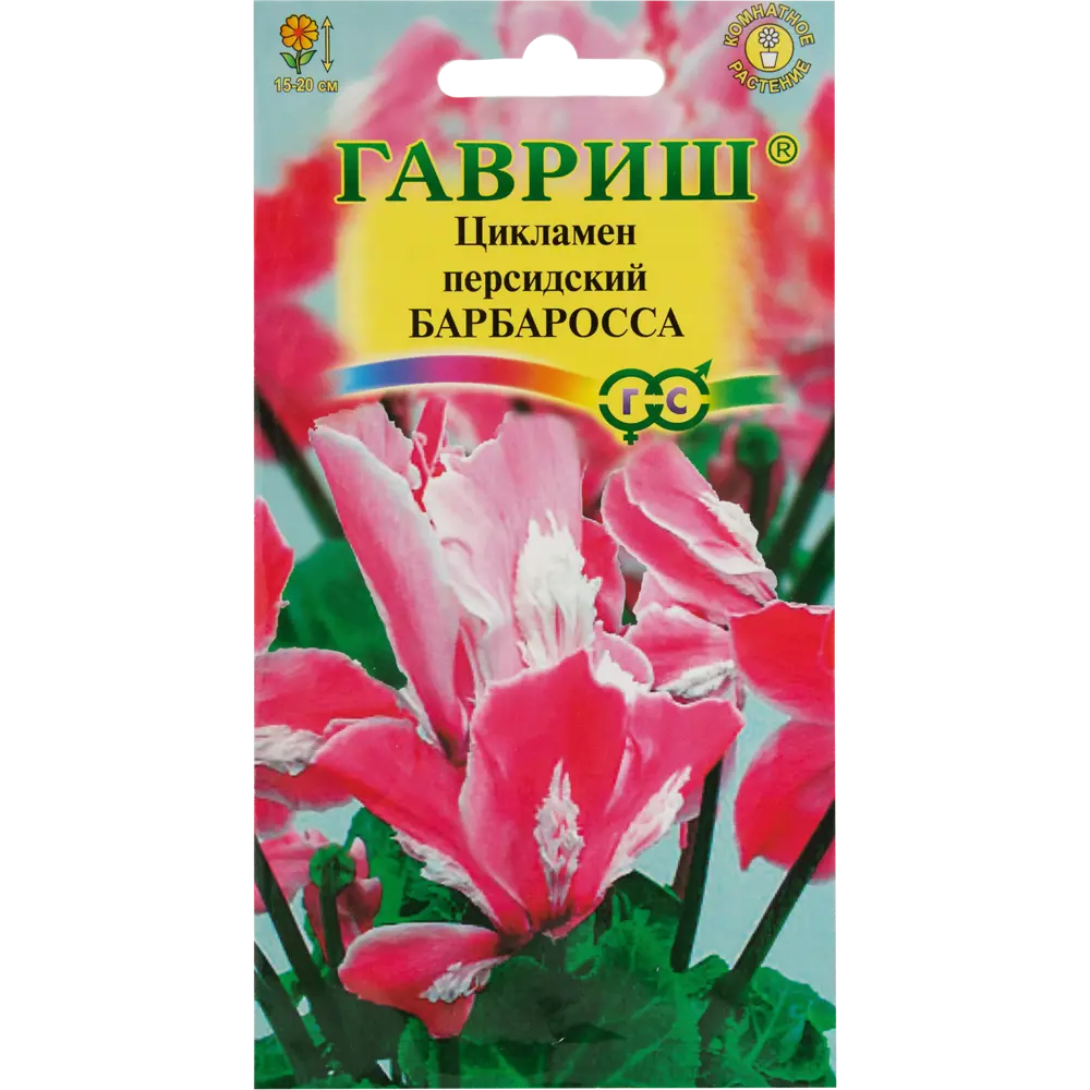 Цикламен персидский «Барбаросса», 3 шт. 82472683 STLM-2206088 ГАВРИШ 