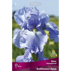 Ирис бородатый Бэббелинг Брук