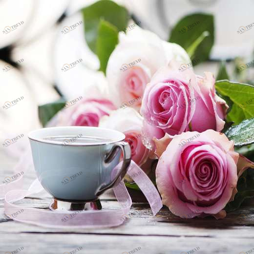 WP00971 Фотообои Verol Фотообои decoline 1х1 м