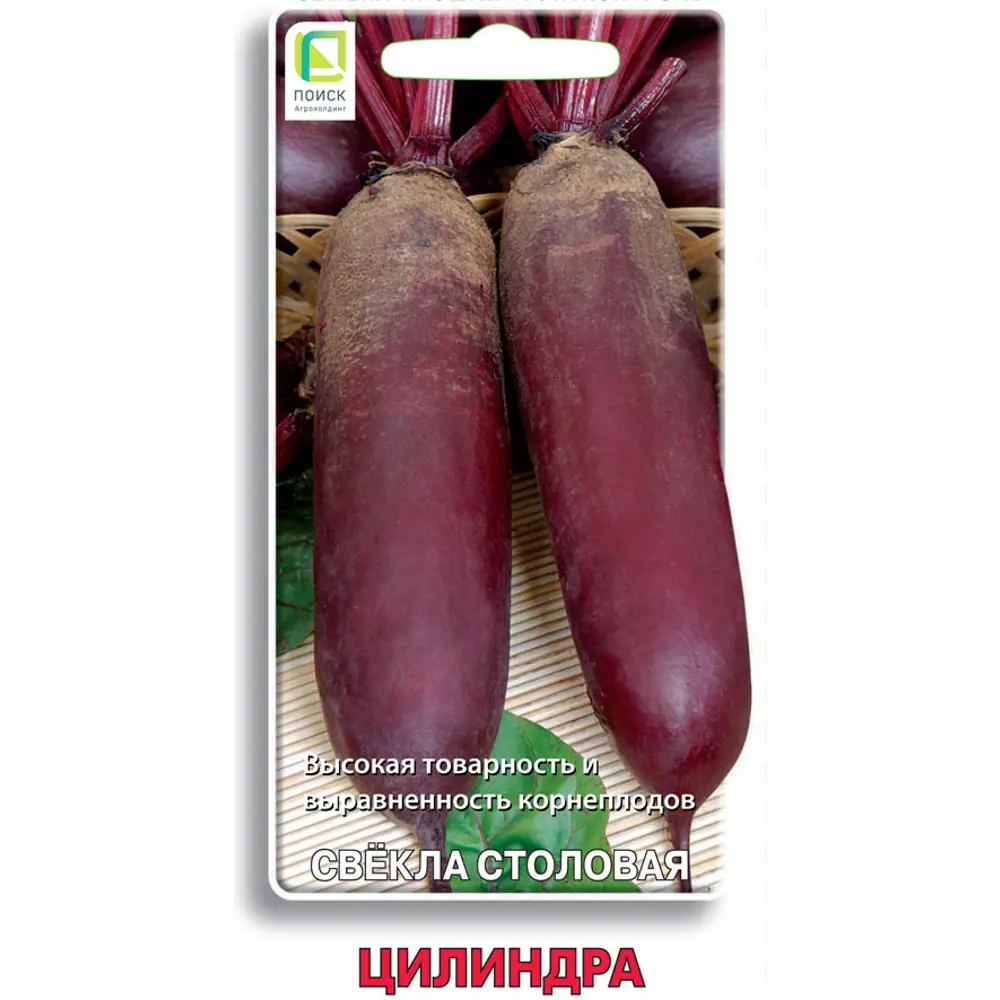 Семена овощей Поиск свекла столовая Цилиндра STLM-2058620