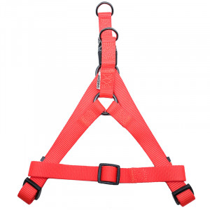 ПР0050097 Шлейка для собак 20мм (обхват 50-65см) оранжевая Great&Small