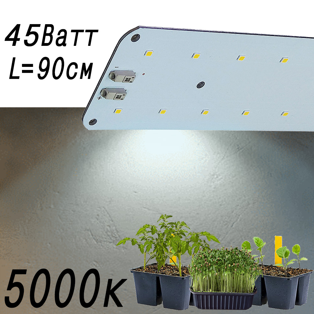 3349 Биколор Комфорт 2.3.f - Рассада, Микрозелень. Белый свет. LAB.Space 