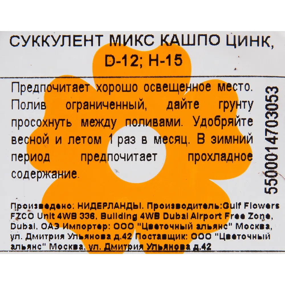 Суккулент микс кашпо цинк 12x18 см 82850448 STLM-2188344 Santreyd  - Вид №2