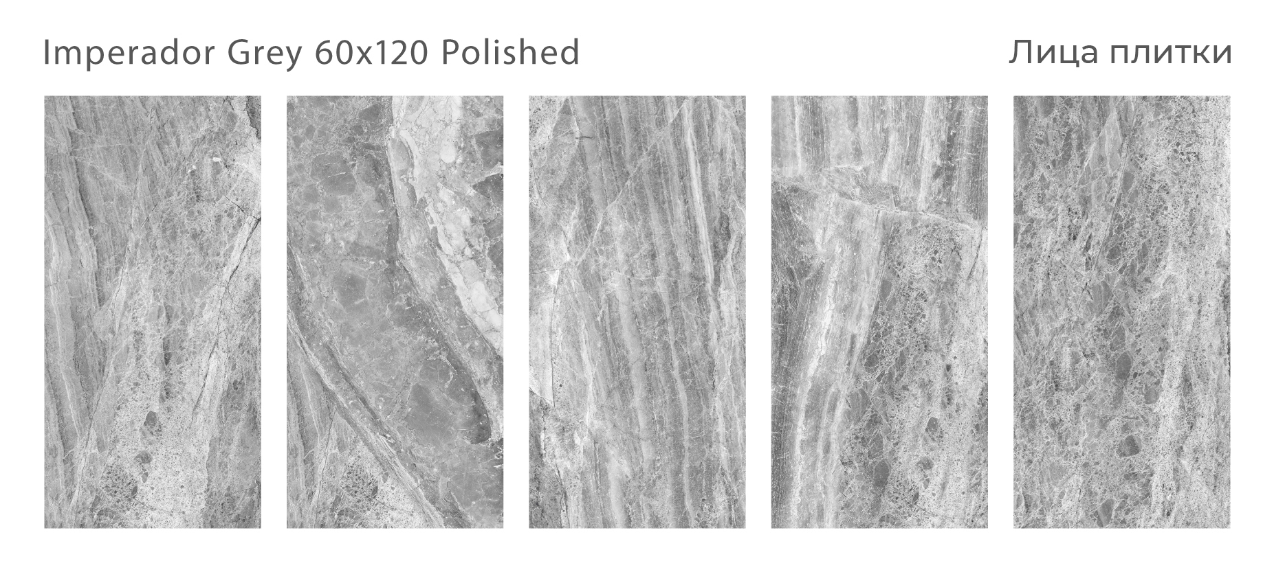 Императорский Шарм: Керамогранит Palacio STP-ST512 INCOLOR - Вид №2