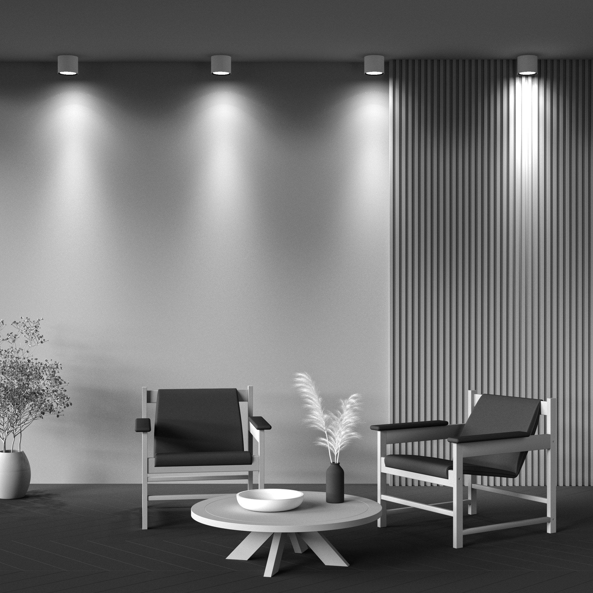 Круглый металлический потолочный светильник Maytoni Альфа ARCH-00035119 - Вид №24