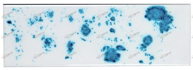 Danilo Ramazzotti Внутренняя облицовка майоликой Inchiostro simpatico Is2d