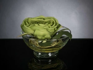 VGnewtrend Искусственное растение  1141713.60