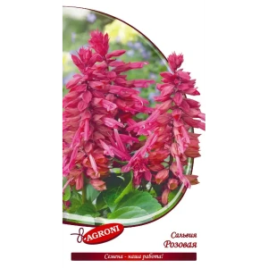 AGRONI Сальвия розовая - ароматные цветы для сада и балкона 13067677