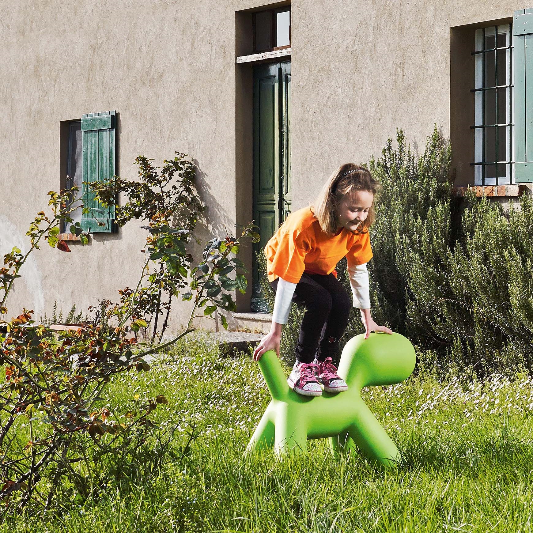 Щенок Magis sun-id-1328995 - Вид №8