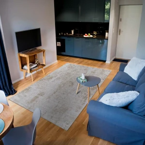 Ковер Merinos Point 80×150 см бежевый с узором 89423605