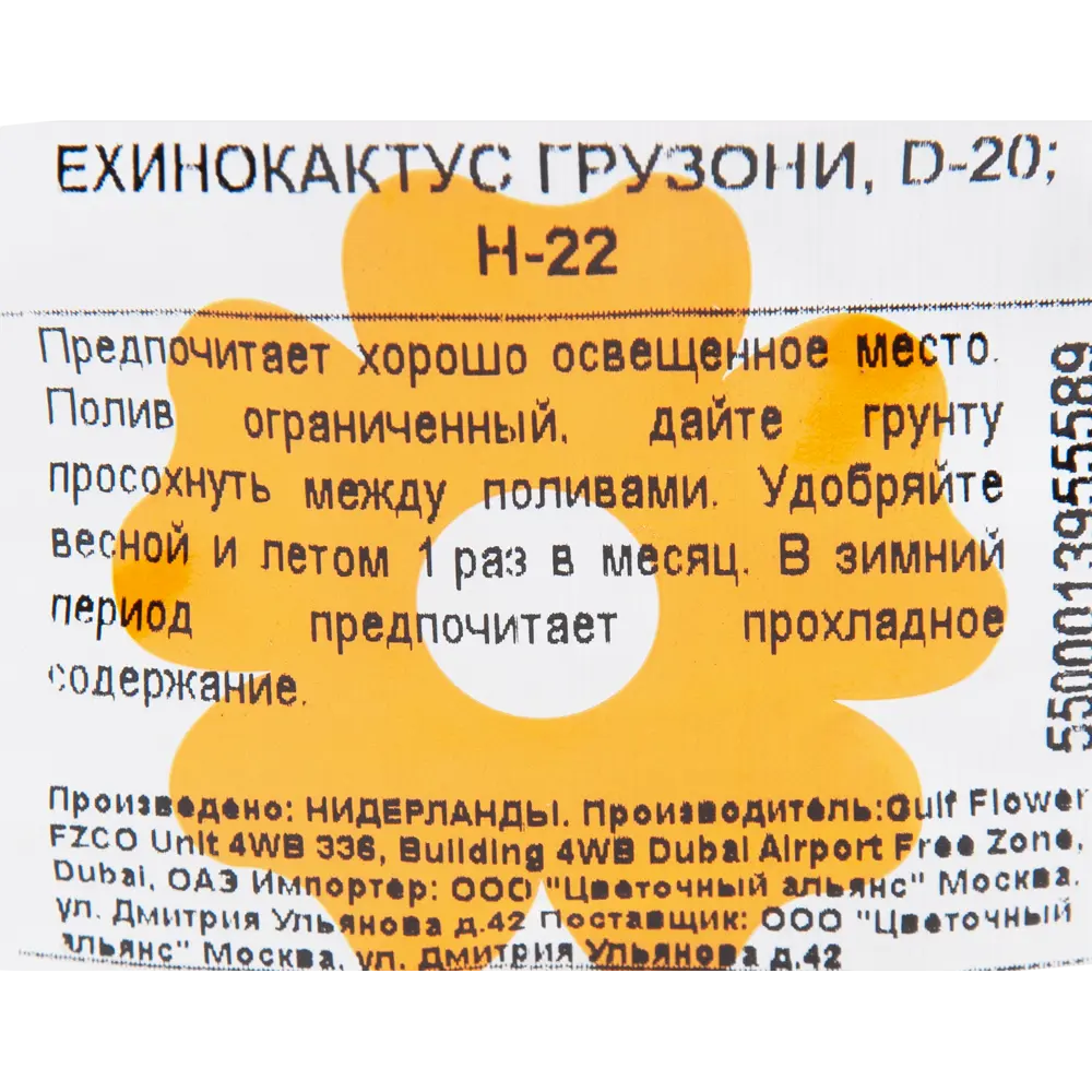 Эхинокактус Грузони 20x22 см 82850423 STLM-2192905 Santreyd  - Вид №2