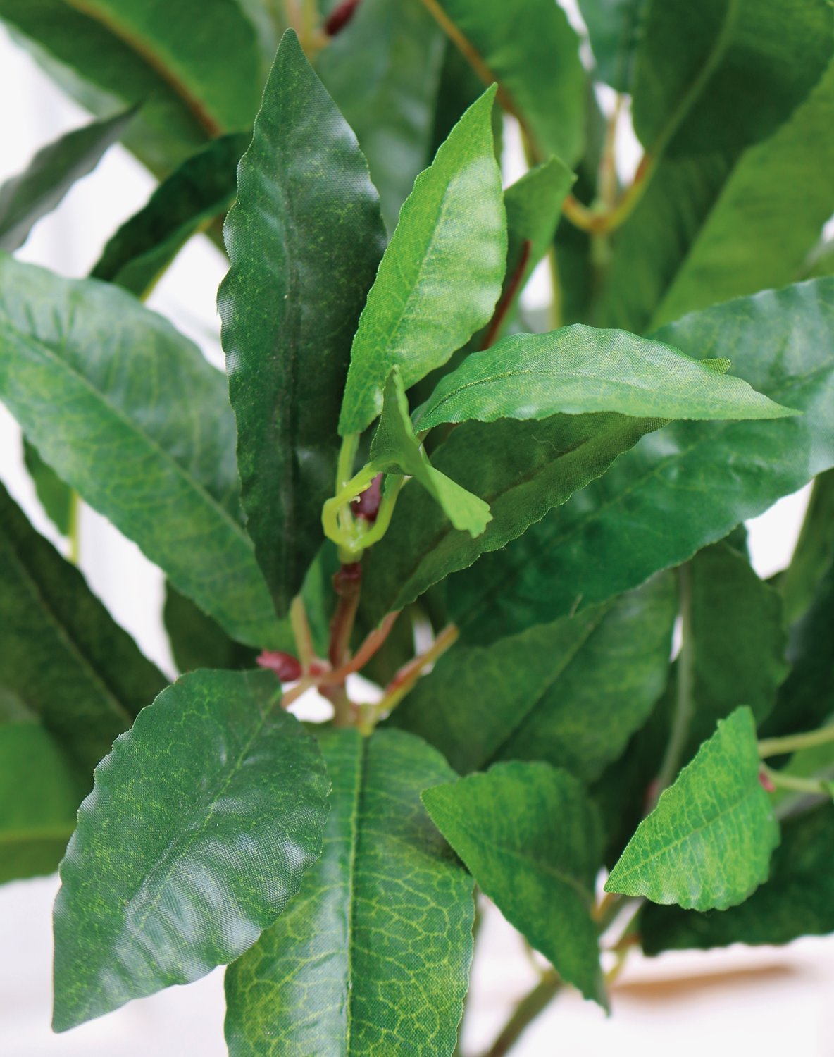 6795 883 a3 Куст искусственного лавра, 50 см, зеленый H-andreas 