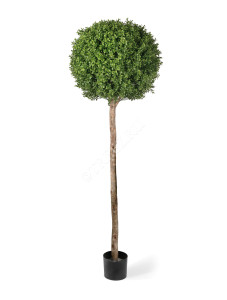 10.44304N Самшиты Шары уличные на высоком стволе Цветочная коллекция