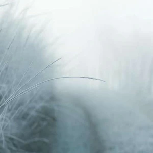 WP01656 Фотообои Verol Фотообои decoline 1х1 м