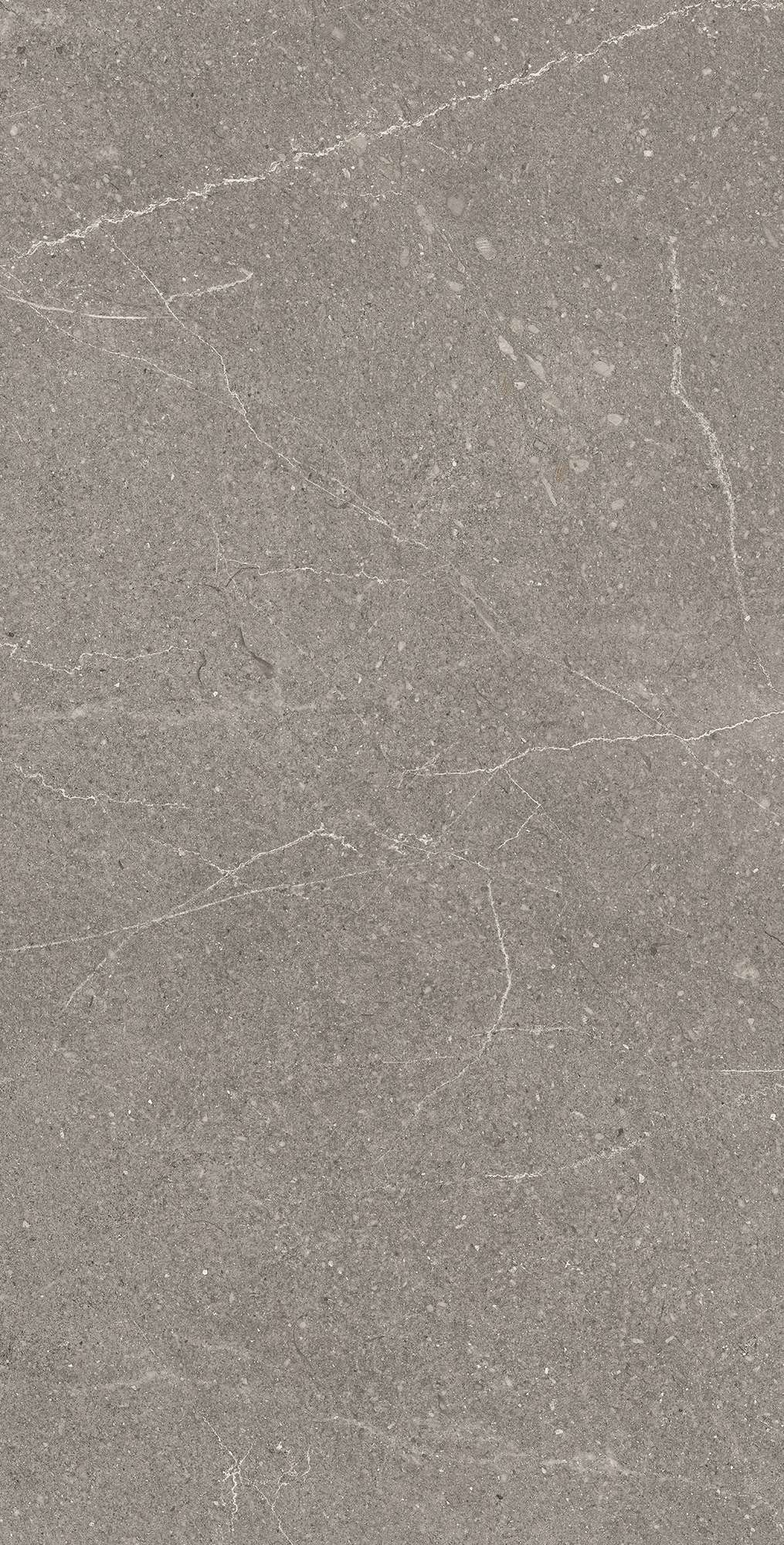 EQUISTONE GRAPHITE ARCADIA CERAMICA RG6002-A - Вид №2