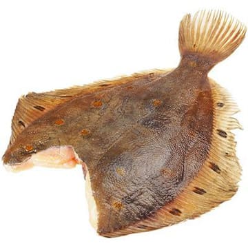 Камбала пятнистая свежемороженая ~1 кг Santreyd 29253 - Вид №1