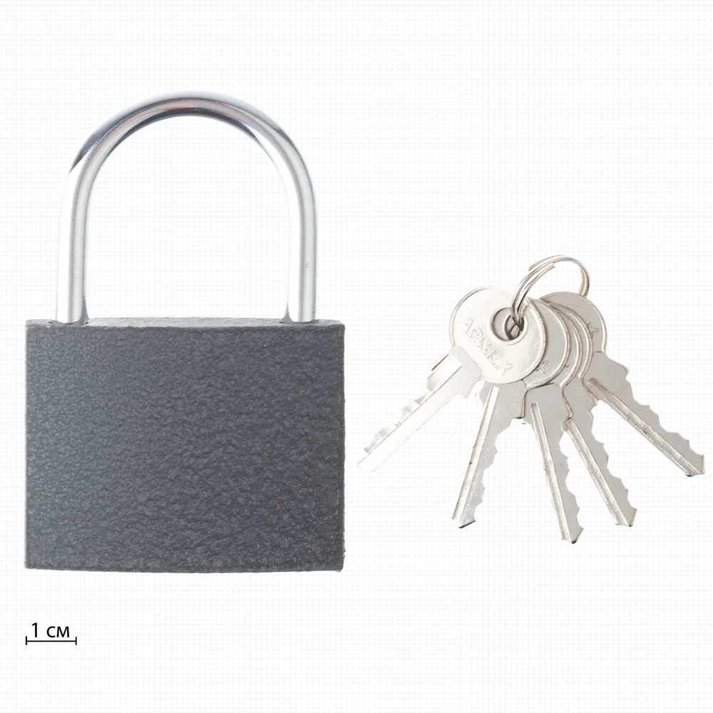 Навесной замок ARMEX ВС1-60 для надёжной защиты дверей и ворот 89393329 STLM-1376366 - Вид №1