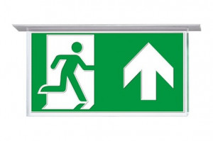 DST-2483 Virsc1608-m Daisalux Светильники сигнальные Серебристо-Серый