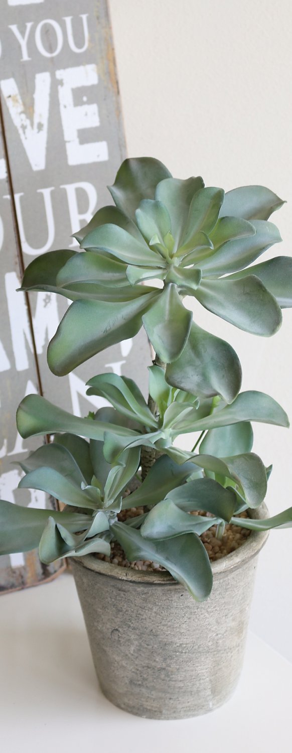 6047 883 a3 Искусственный суккулент, горшок, 38 см, зеленый H-andreas 