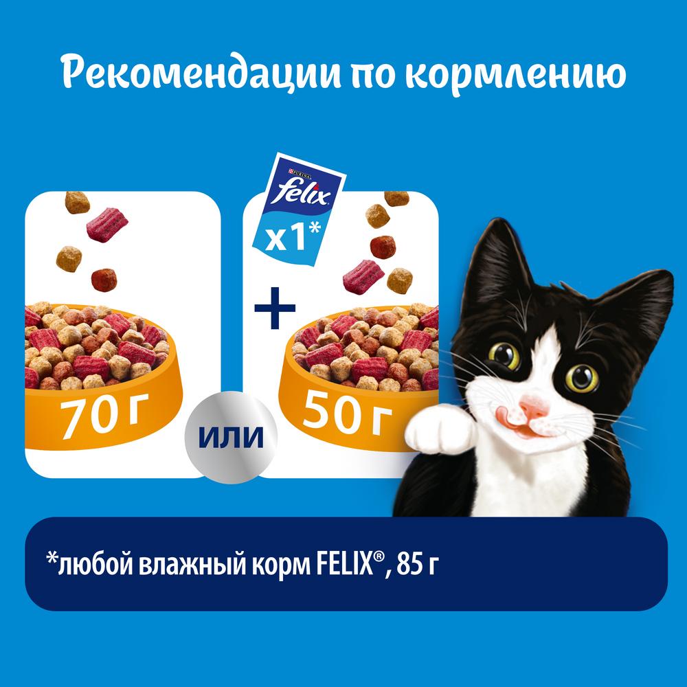 ПР0042236 Корм Двойная Вкуснятина с мясом, сух. 300 г FELIX  - Вид №6