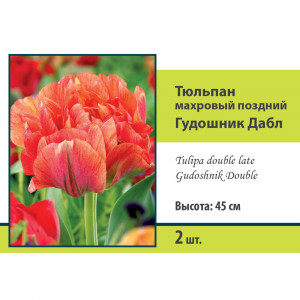 88294862 Тюльпан махровый поздний Гудошник дабл луковица 10/11, 2 шт.
