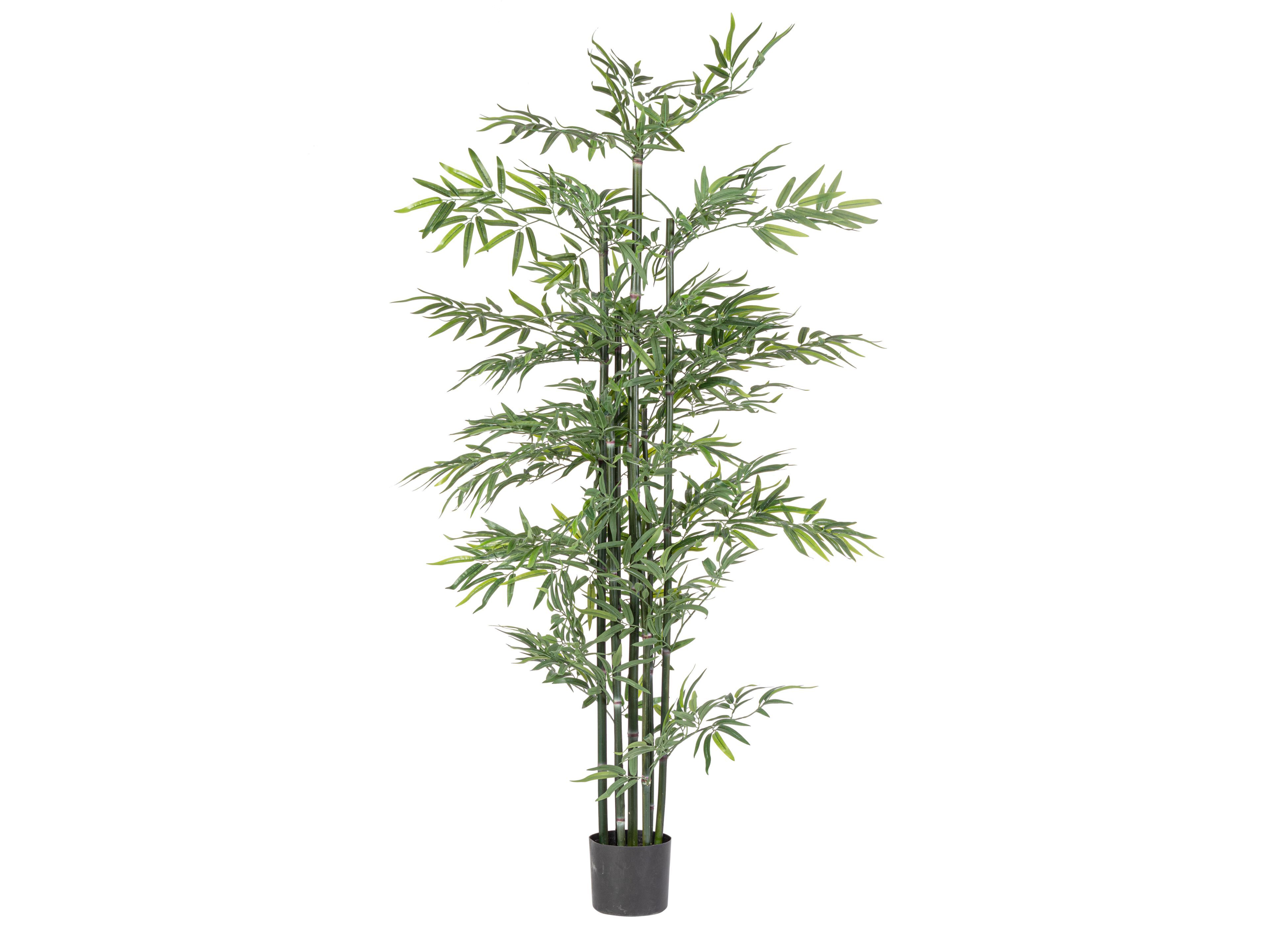 Искусственное растение BIZZOTTO BAMBOO H190 ARCH-00069946