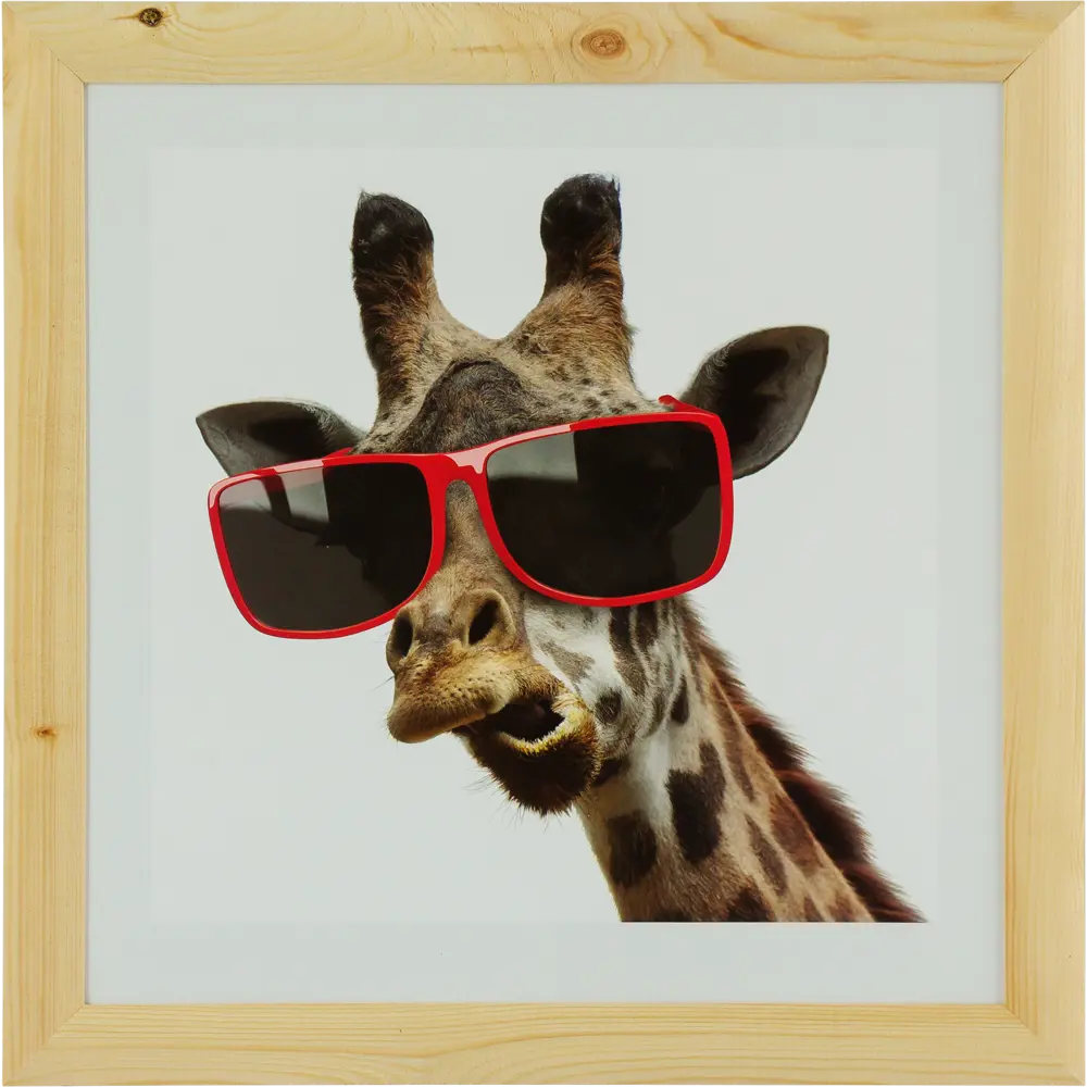 Постер в раме 40х40 см «Жираф в очках» Santreyd STLM-2071945