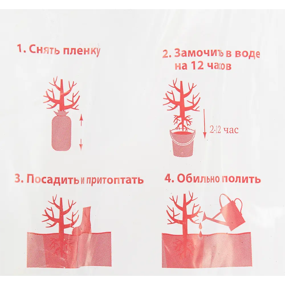 Черешня Бряночка в пакете Поиск Инвест 82529074 STLM-2096486 Santreyd  - Вид №2