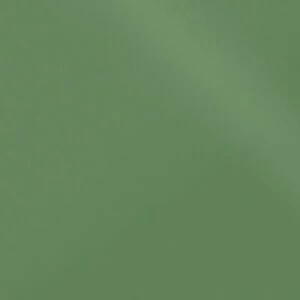 Моноколор CF UF 007 зеленый полированная 600x600