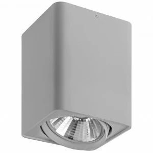 Потолочный светильник Lightstar Monocco 212639 LIGHTSTAR MONOCCO 276707 Серый