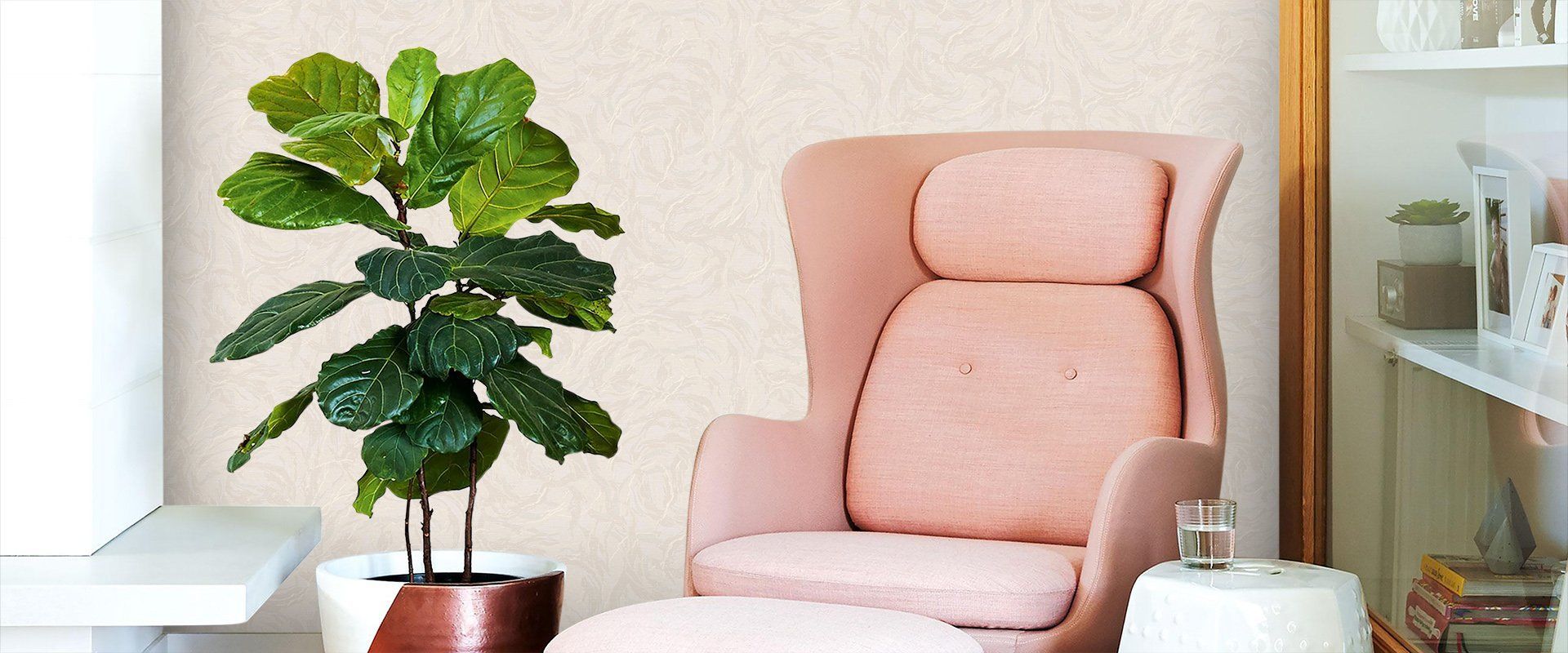 Victoria Stenova 998452 Фон VENERA 998452 - Вид №1