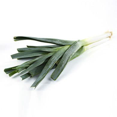 Лук-порей Santreyd 1887 - Вид №1