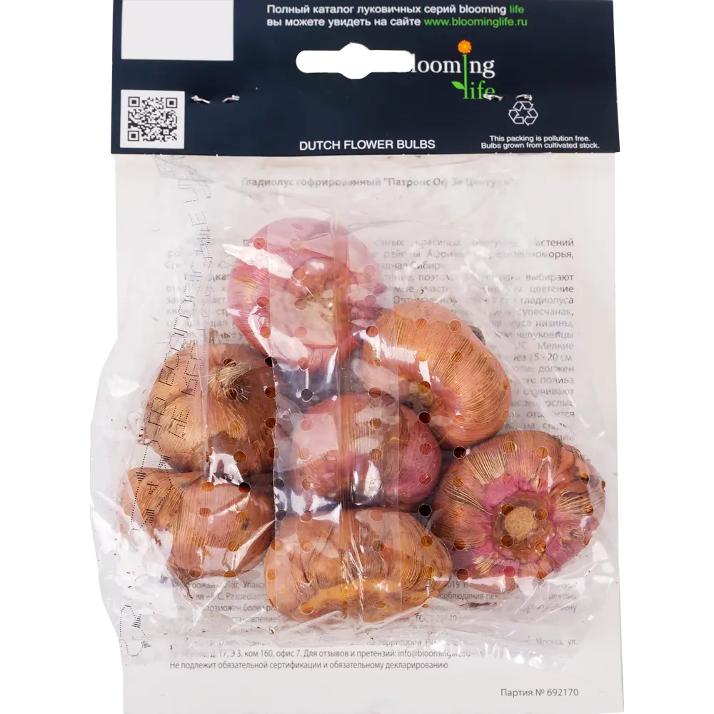 Гладиолус гофрированный «Патронс оф зе Центури» 81945928 STLM-2069993 Santreyd  - Вид №2