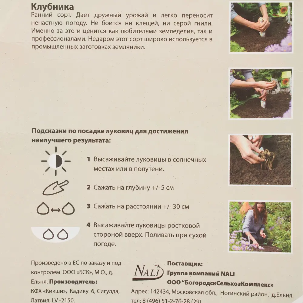 Клубника Хоней I (1) 15618381 STLM-2006995 Santreyd  - Вид №2