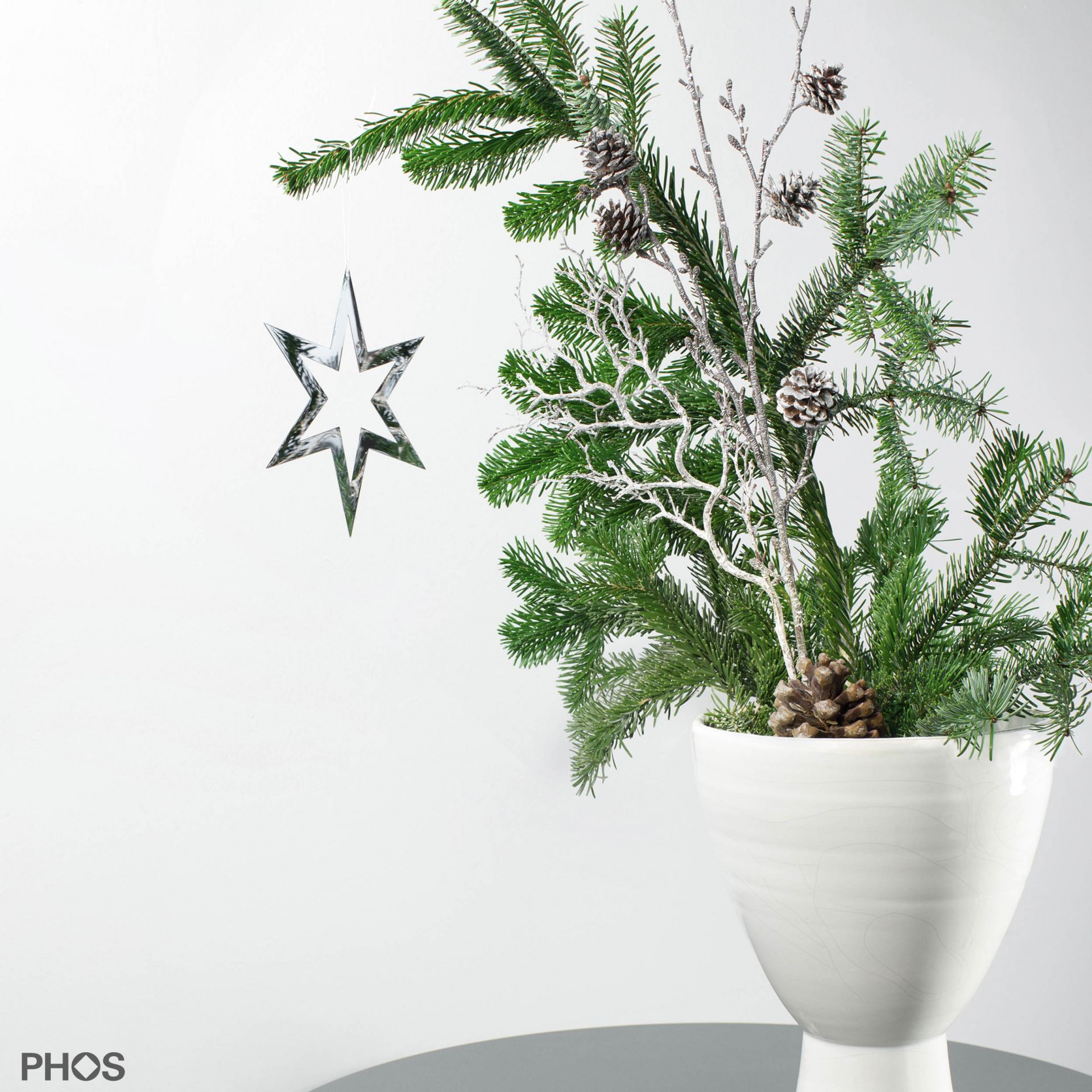 STERN1GP Poinsettia sirius-1, глянцевая полированная нержавеющая сталь PHOS 