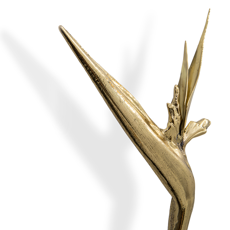 EA1062 PullCast Дверные тяги STRELITZIA Полированная латунь  - Вид №3