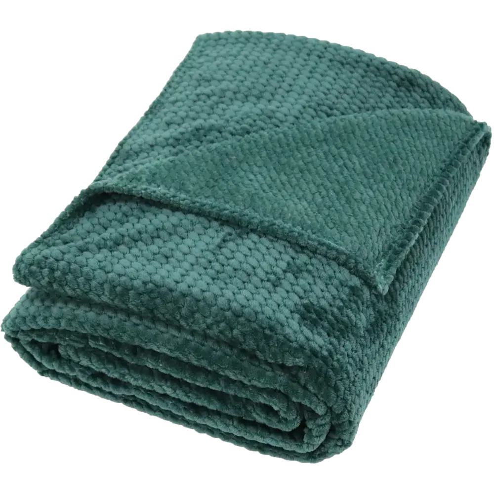 Плед микрофибра Comodo 220х240 см цвет зеленый Santreyd STLM-2064771 - Вид №2