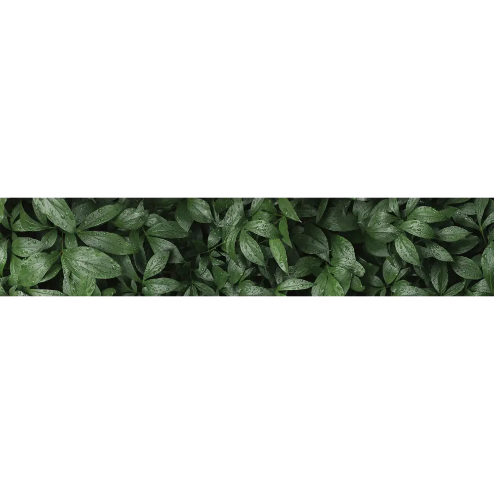 Стеновая панель Botanical Gar 300x0.4x60 см алюминий цвет зеленый 89199583 STLM-2079049 ALUMOART 