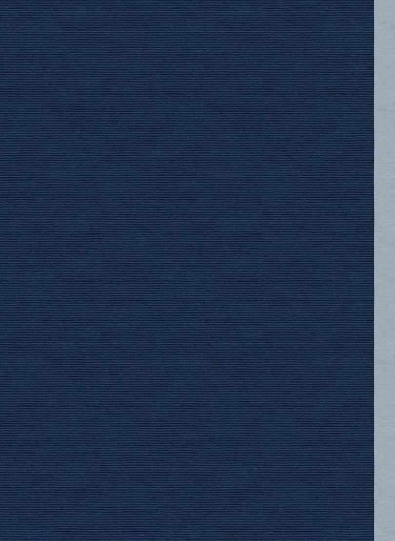 Tapis Rouge Прямоугольный коврик ручной работы Color block Tr1631hc - Вид №1