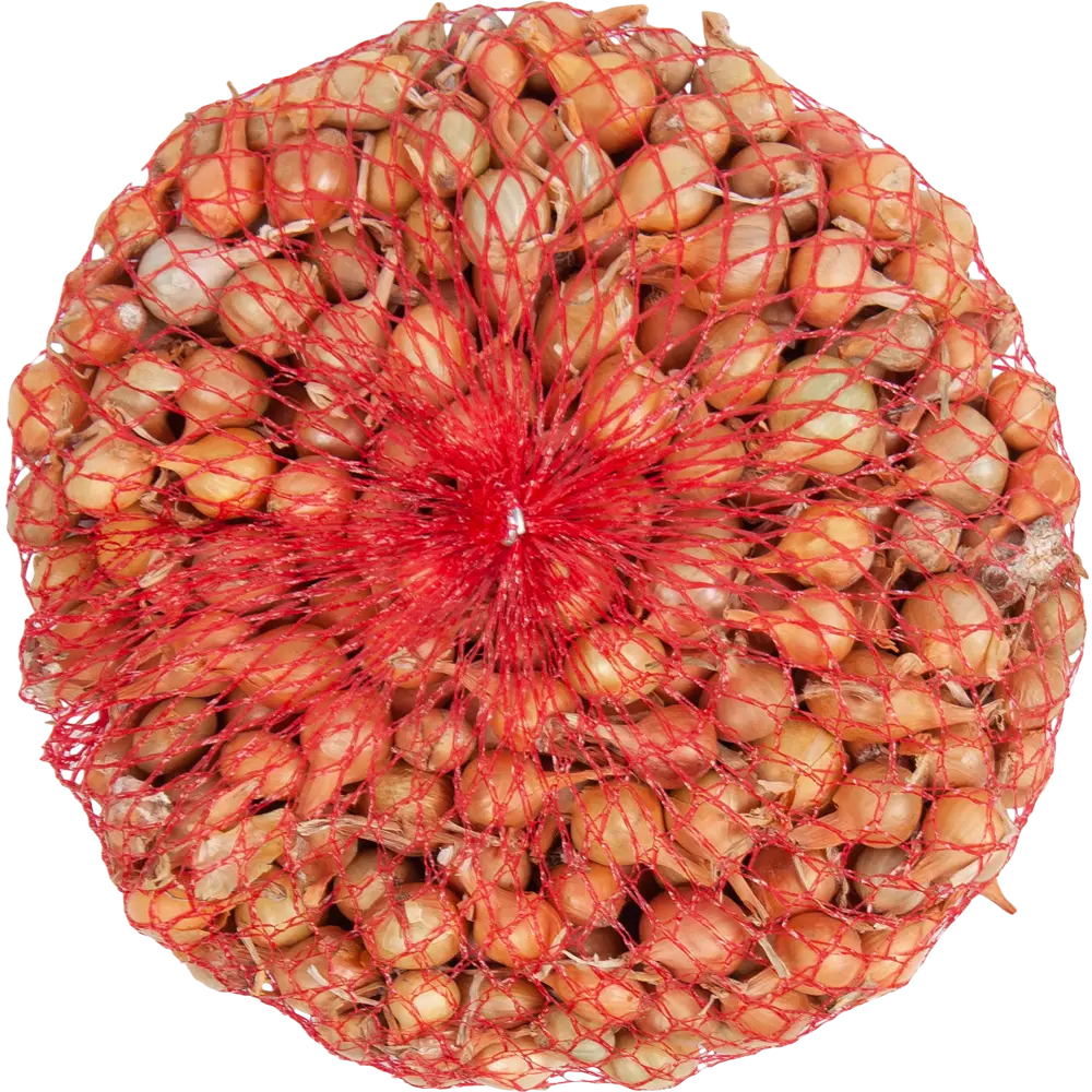 Лук-севок Штуттгартер 0.9 кг Santreyd STLM-2203740 - Вид №1