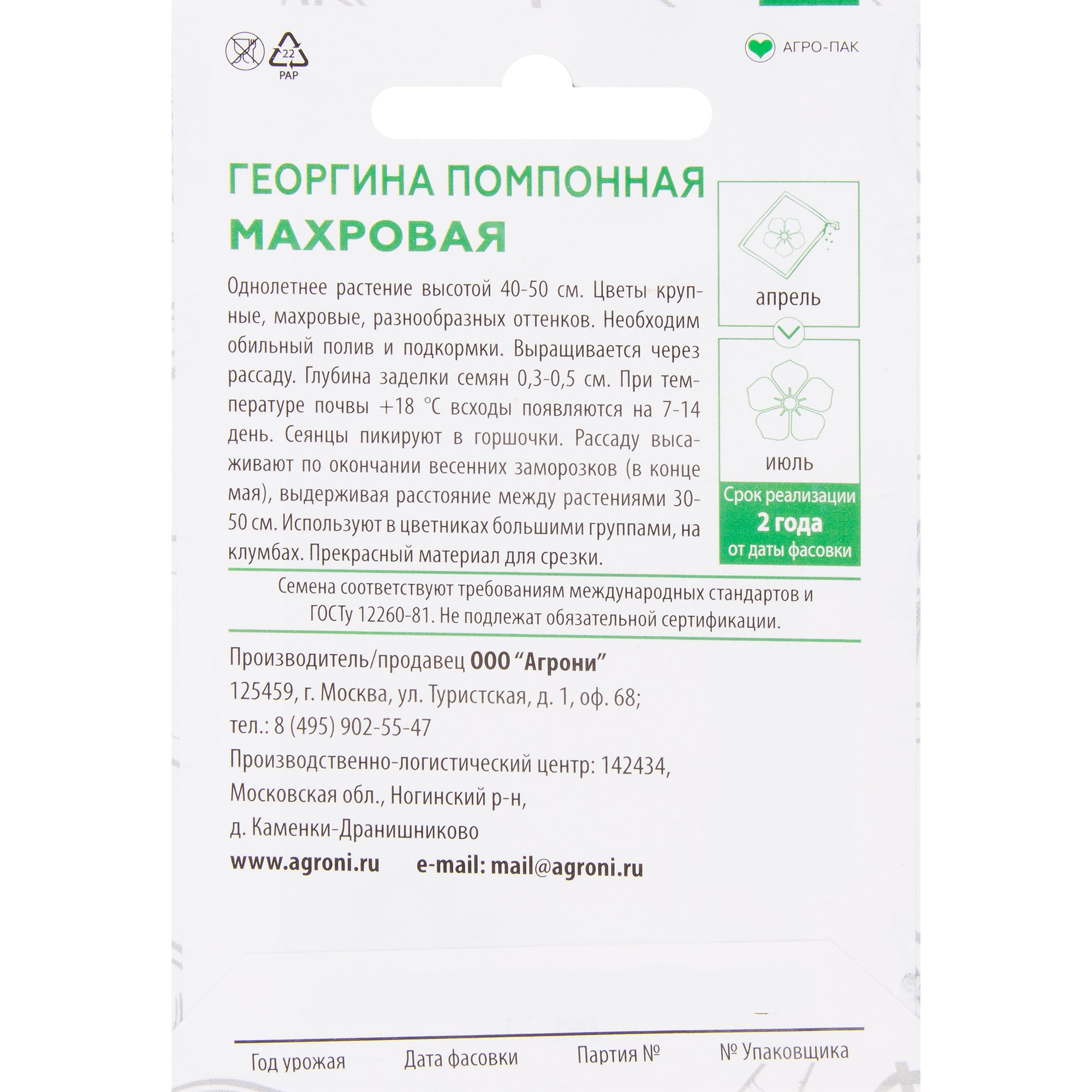 82457720 Георгина помпонная XS Santreyd  - Вид №1