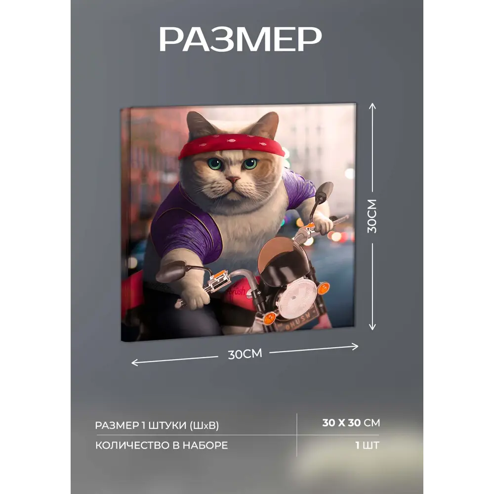 Картина на холсте Байкер 30x30 см FBRUSH STLM-2064661 - Вид №3