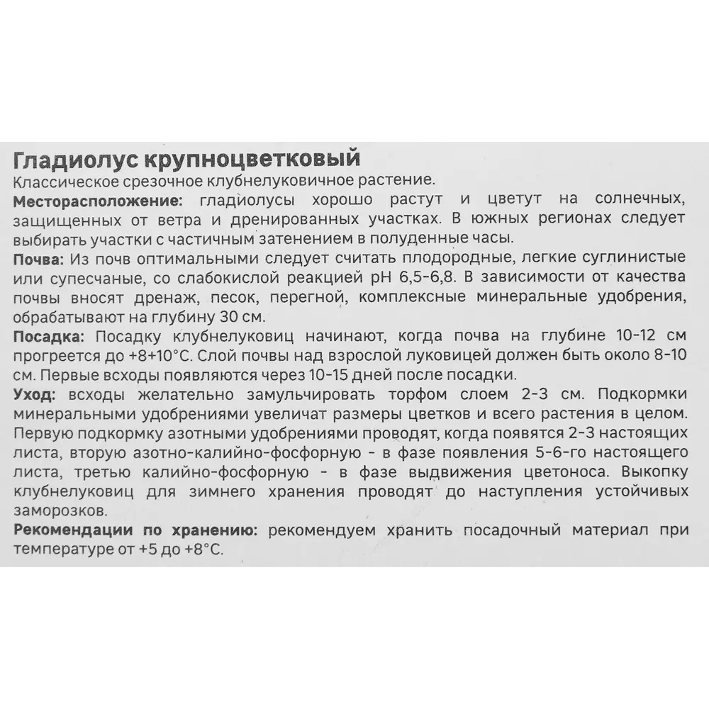 Гладиолус крупноцветковый Лолита Geolia 3 шт 86408548 STLM-2076435  - Вид №2