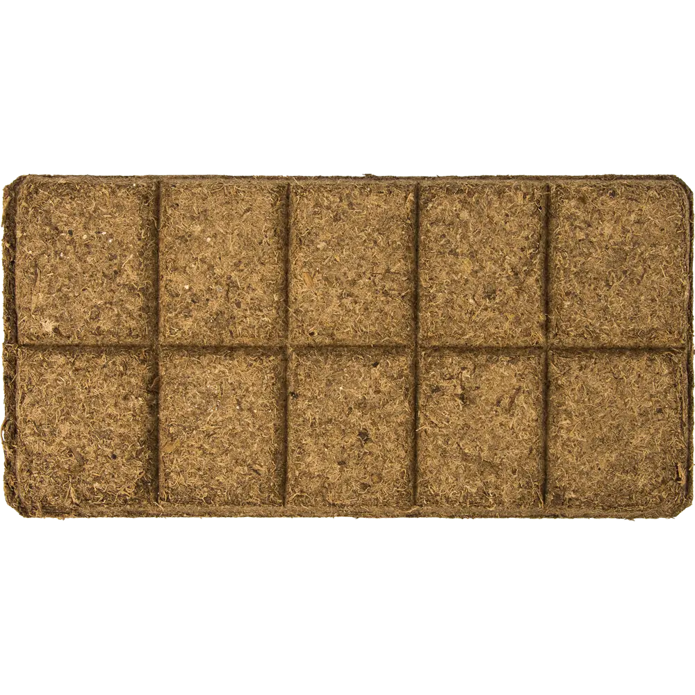 Почвобрикет БиоМастер «Зеленая Пальма» 5 л Для пальм и фикусов STLM-2176841 - Вид №2