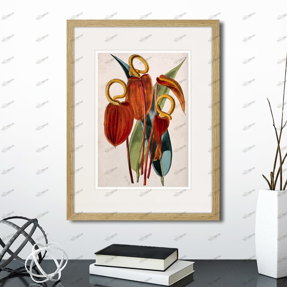 Литография на тонированной бумаге 42х32 см Exotic plants of the world №15, 1815г. КАРТИНЫ В КВАРТИРУ  264346 Бежевый;белый;красный;разноцветный 