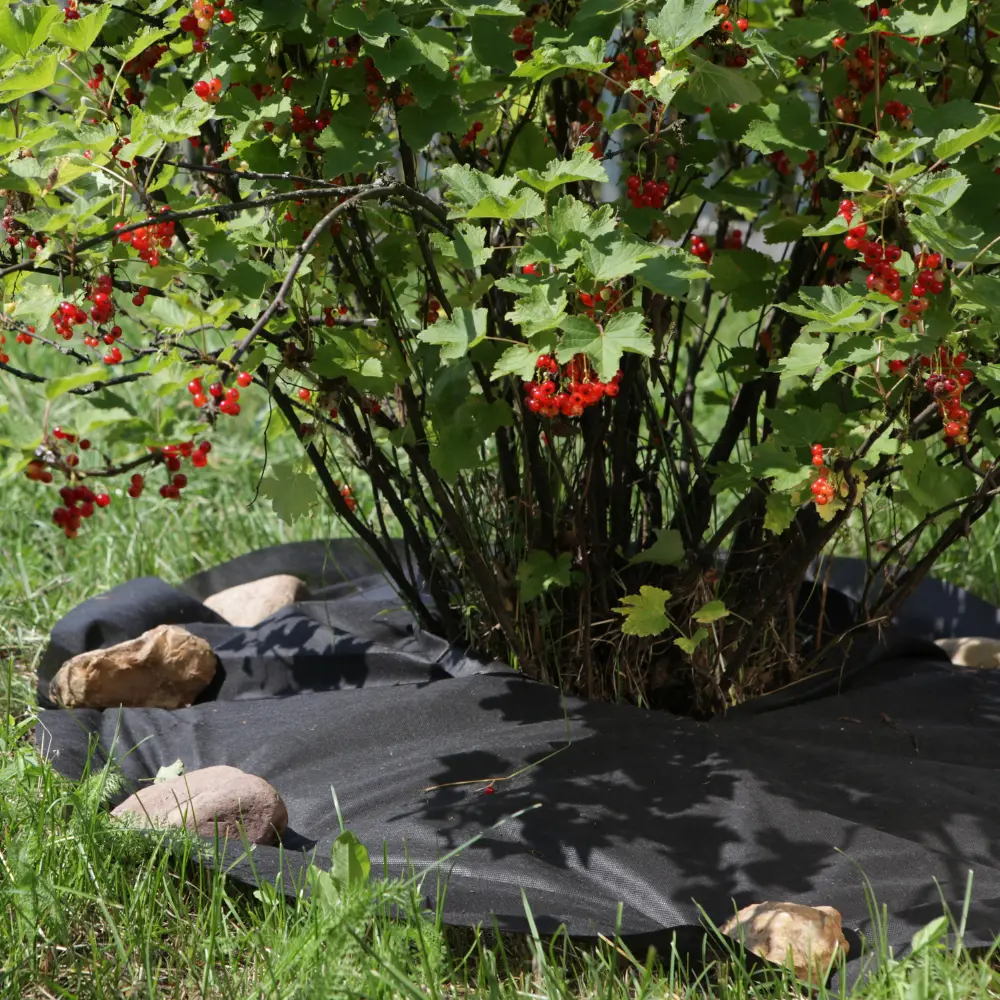 Приствольный материал Агротекс 60 г/м² ø1 м геотекстиль черный Santreyd STLM-2088175 - Вид №2